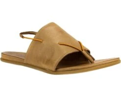 Unity In Diversity Kira 35