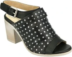 Unity In Diversity Ficus