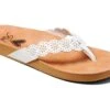 Reef Cushion Scallop Celine -Sole Serenity 71jXQwRytAL. AC SR920736